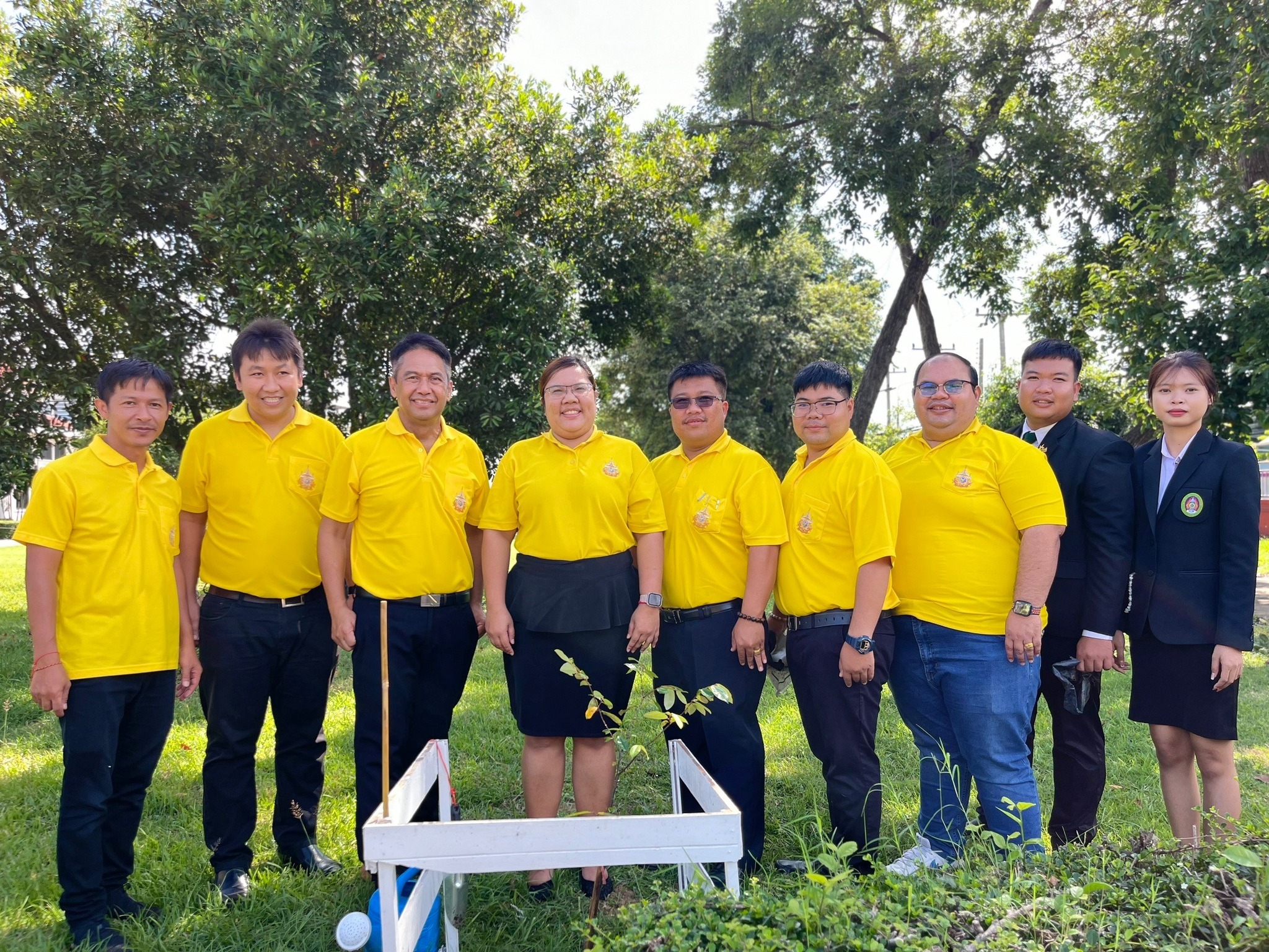 ประวัติความเป็นมา